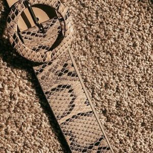 snakeskin belt